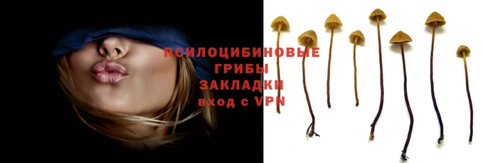 мяу мяу кристалл Армянск
