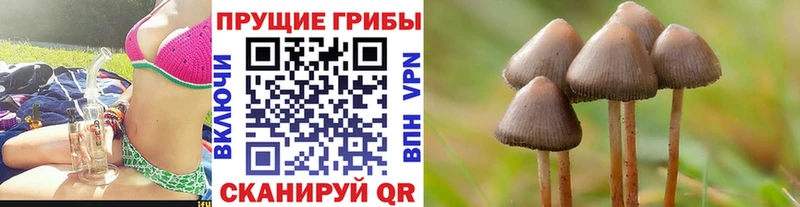 Псилоцибиновые грибы MAGIC MUSHROOMS MEGA как зайти Балашов