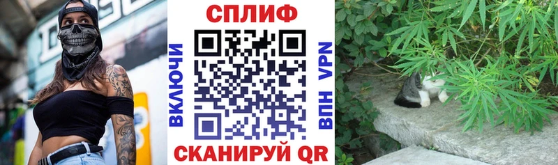 Каннабис MAZAR  Балашов 